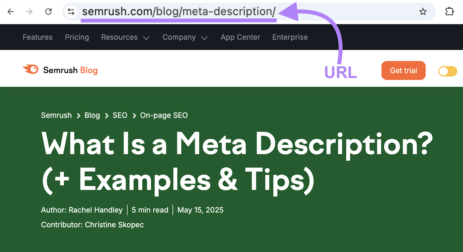 The URL in this example is sr03.amztools.in/blog/meta-description.