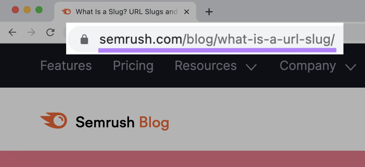 "sr03.amztools.in/blog/what-is-a-url-slug/" URL